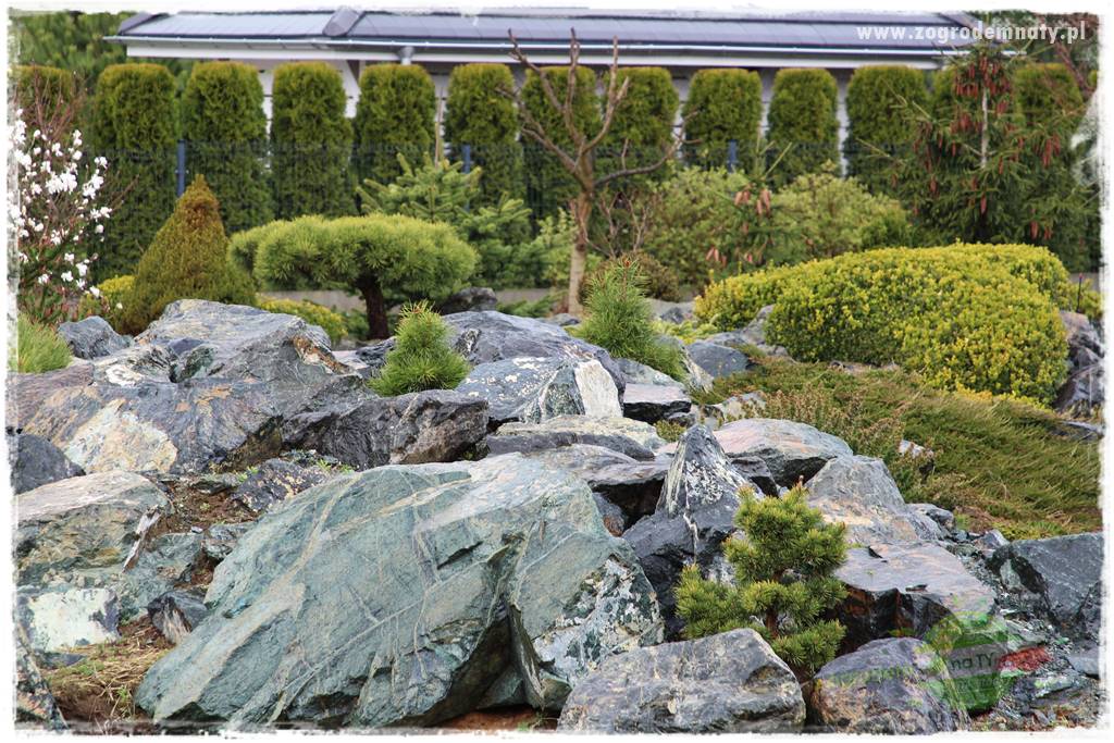 Zielony kamień w ogrodzie 13 Zielony kamień w ogrodzie 13