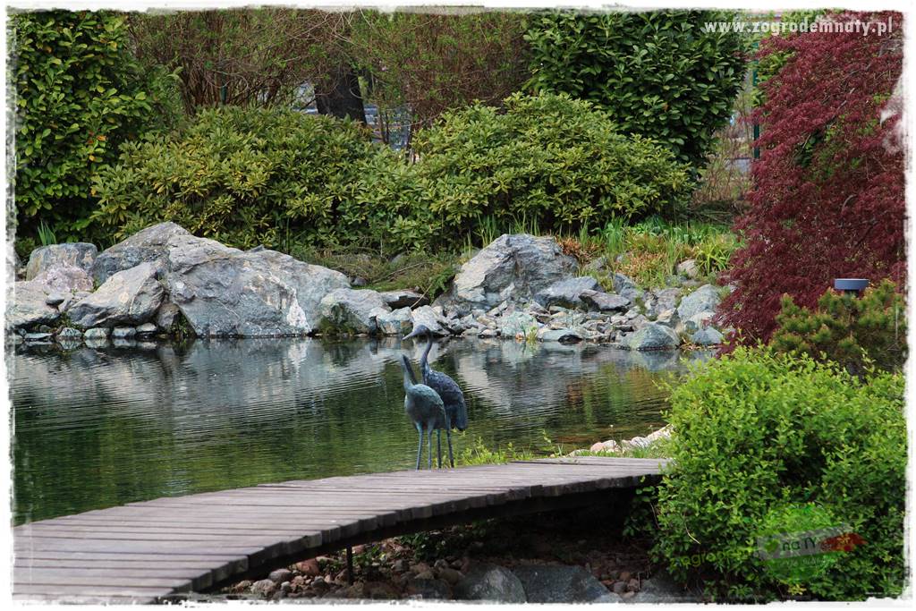 Zielony kamień w ogrodzie 2 Zielony kamień w ogrodzie 2