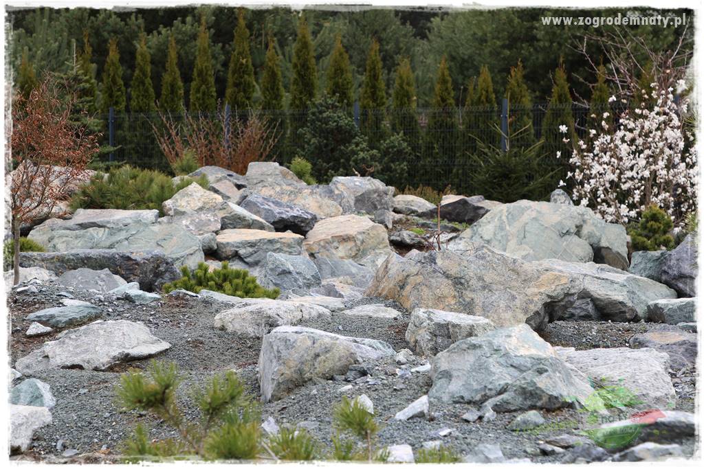 Zielony kamień w ogrodzie 20 Zielony kamień w ogrodzie 20