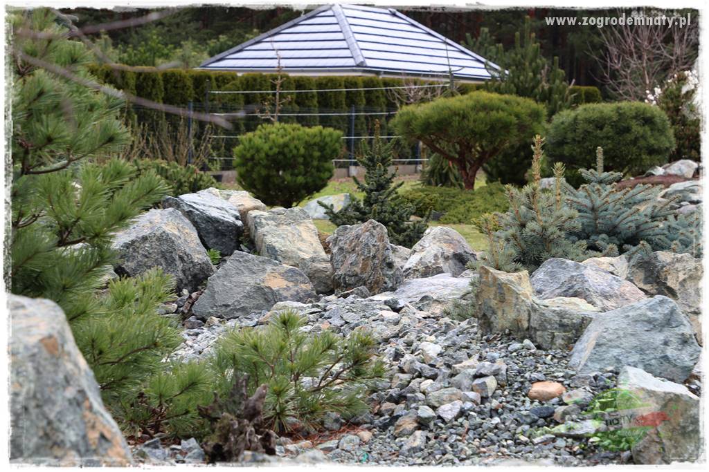 Zielony kamień w ogrodzie 21 Zielony kamień w ogrodzie 21