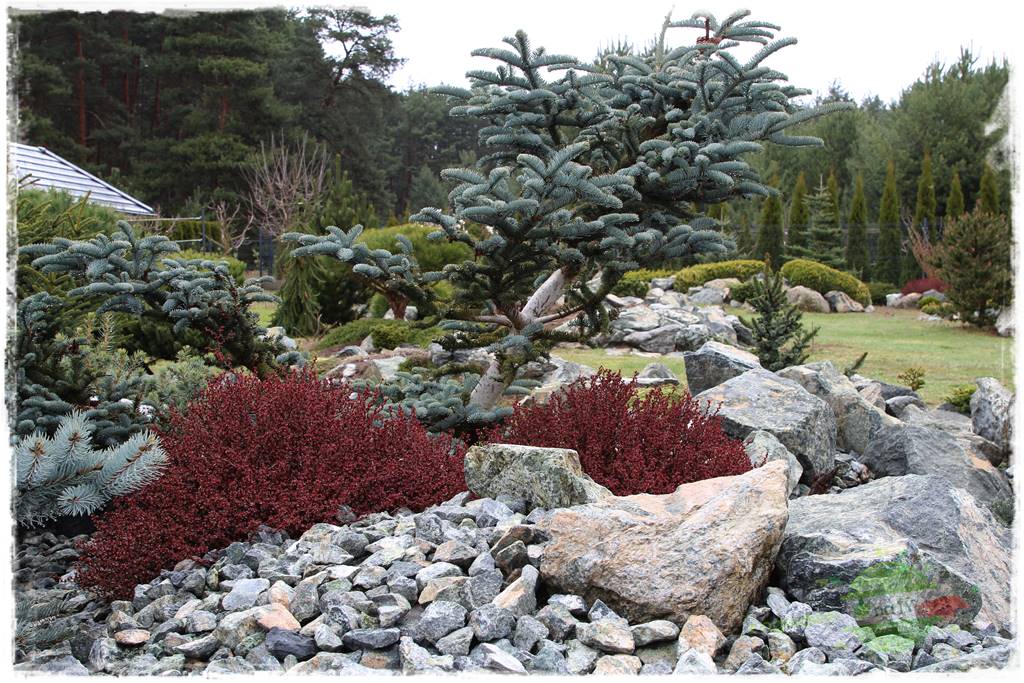 Zielony kamień w ogrodzie 24 Zielony kamień w ogrodzie 24