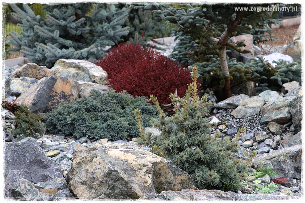 Zielony kamień w ogrodzie 26 Zielony kamień w ogrodzie 26