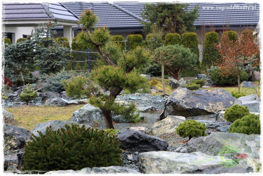 Zielony kamień w ogrodzie 27 Zielony kamień w ogrodzie 27