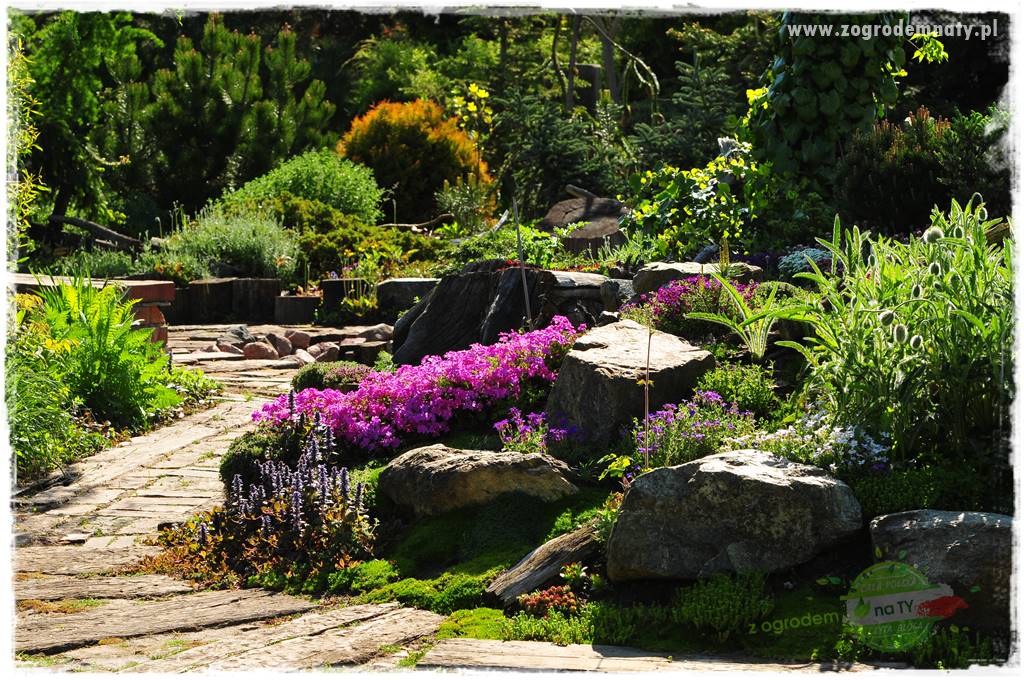 Zielony kamień w ogrodzie 2a Zielony kamień w ogrodzie 2a