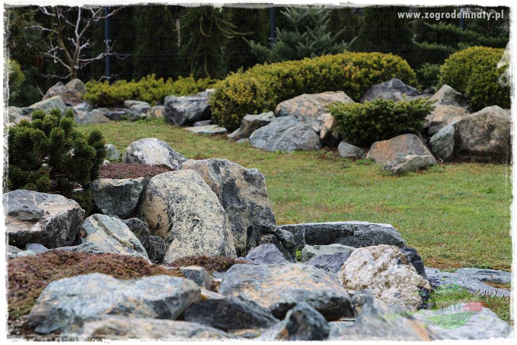 Zielony kamień w ogrodzie 33 Zielony kamień w ogrodzie 33