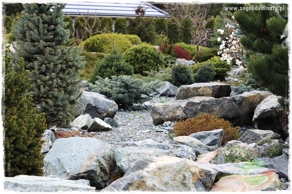 Zielony kamień w ogrodzie 34 Zielony kamień w ogrodzie 34