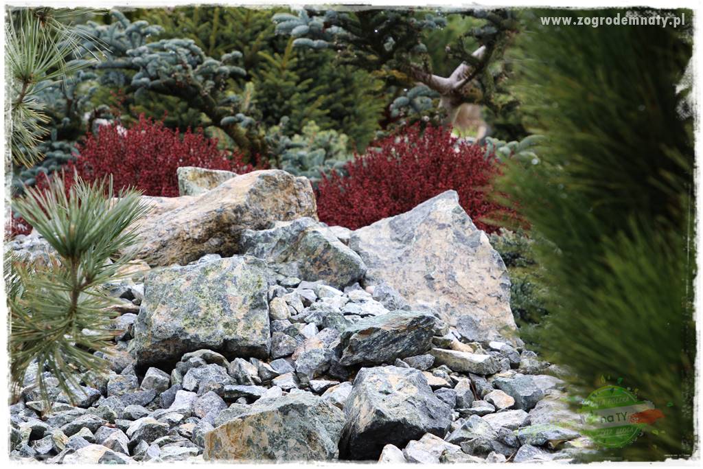 Zielony kamień w ogrodzie 35 Zielony kamień w ogrodzie 35