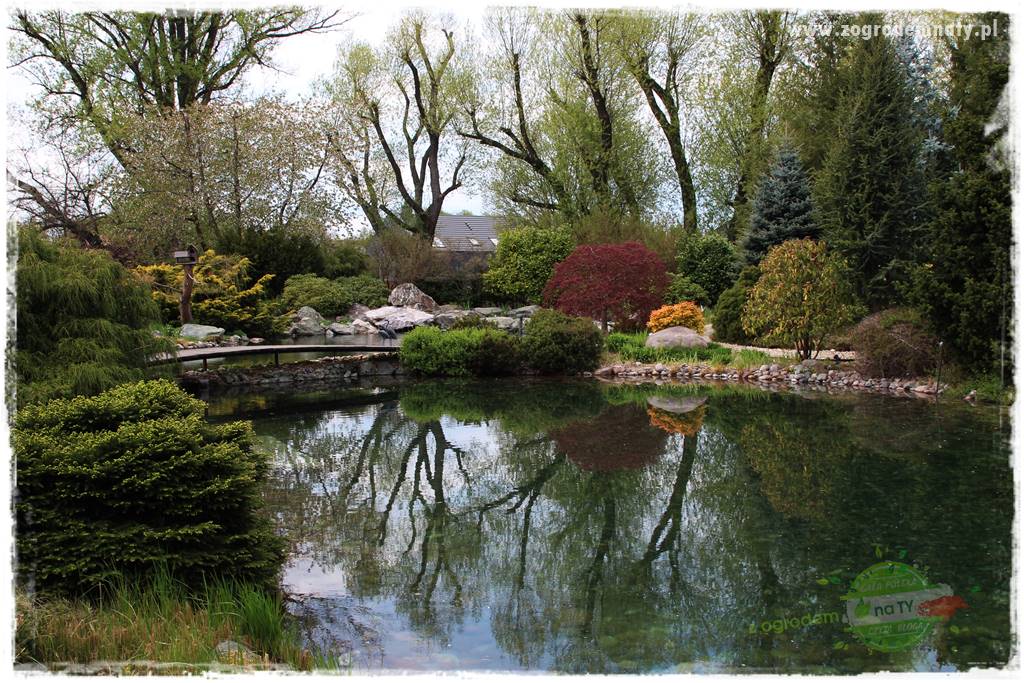 Zielony kamień w ogrodzie 37 Zielony kamień w ogrodzie 37