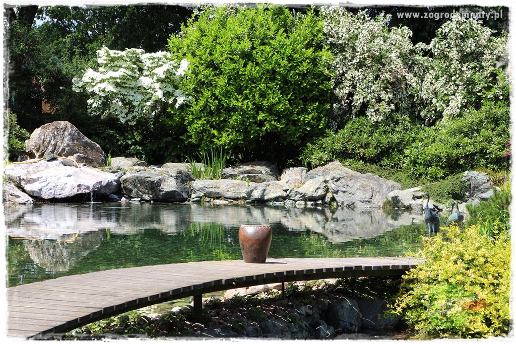 Zielony kamień w ogrodzie 38 Zielony kamień w ogrodzie 38