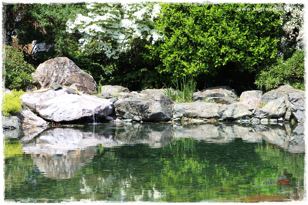 Zielony kamień w ogrodzie 42 Zielony kamień w ogrodzie 42