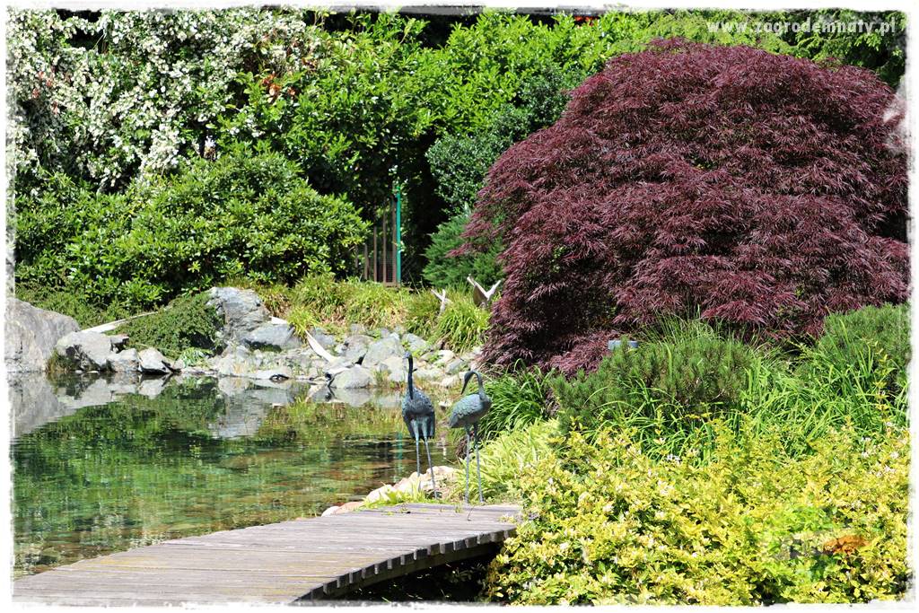 Zielony kamień w ogrodzie 44 Zielony kamień w ogrodzie 44