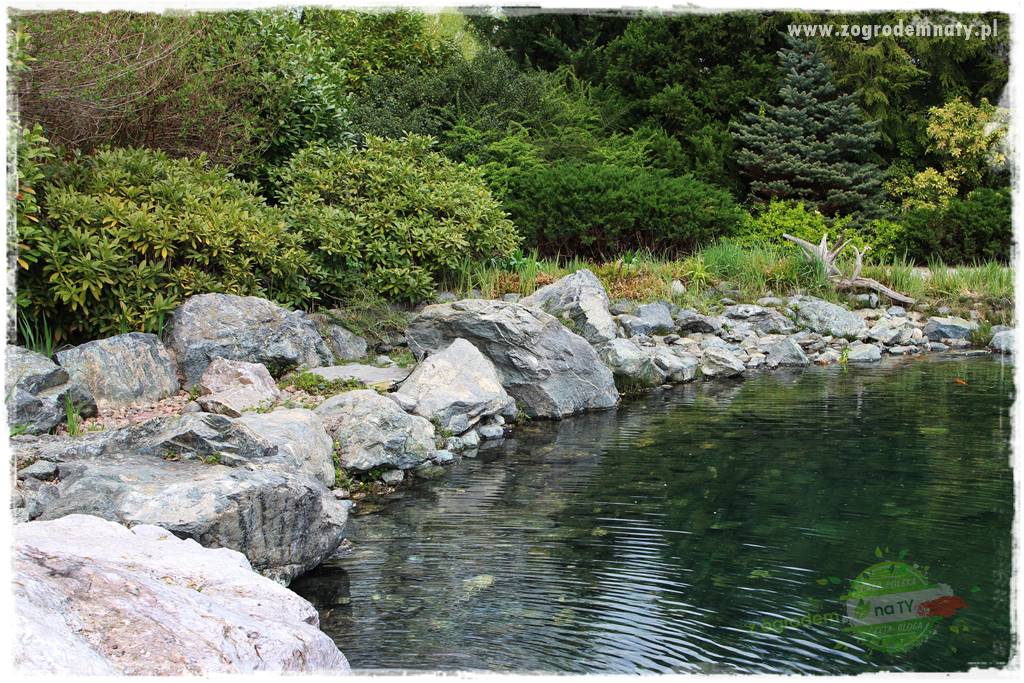 Zielony kamień w ogrodzie 49 Zielony kamień w ogrodzie 49