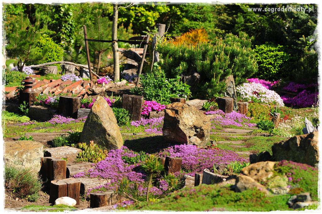 Zielony kamień w ogrodzie 50 Zielony kamień w ogrodzie 50