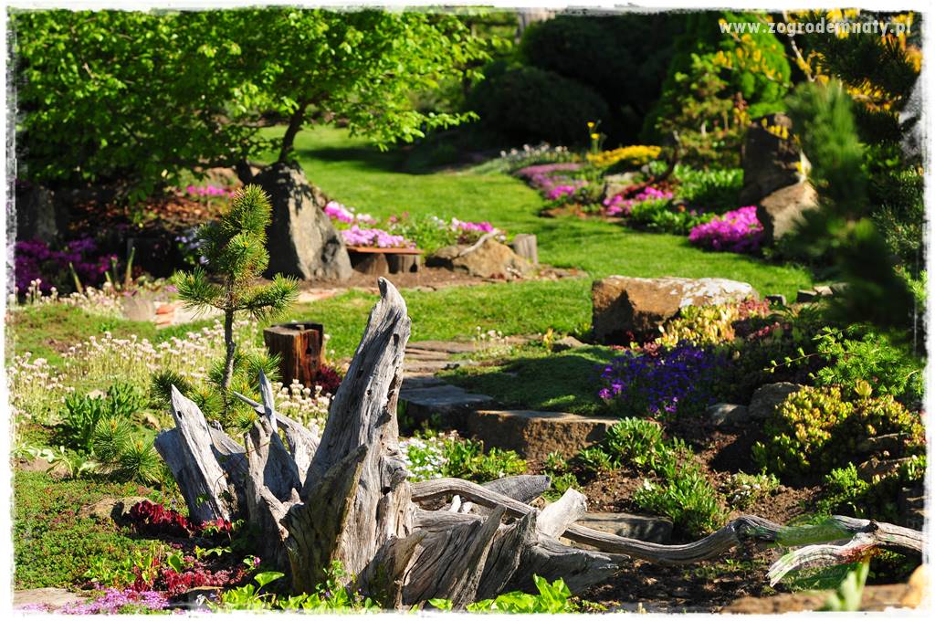 Zielony kamień w ogrodzie 52 Zielony kamień w ogrodzie 52