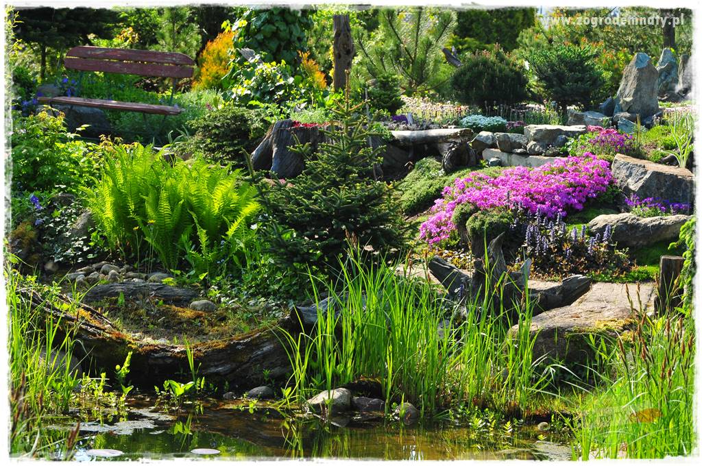 Zielony kamień w ogrodzie 53 Zielony kamień w ogrodzie 53