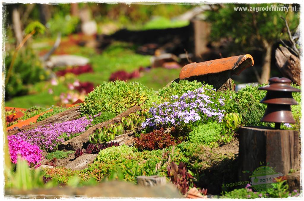Zielony kamień w ogrodzie 54 Zielony kamień w ogrodzie 54