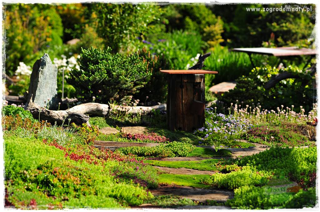 Zielony kamień w ogrodzie 56 Zielony kamień w ogrodzie 56