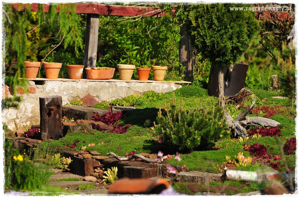 Zielony kamień w ogrodzie 58 Zielony kamień w ogrodzie 58