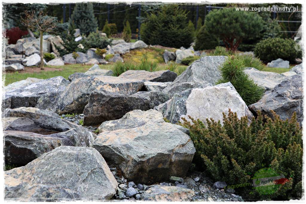 Zielony kamień w ogrodzie 60 Zielony kamień w ogrodzie 60