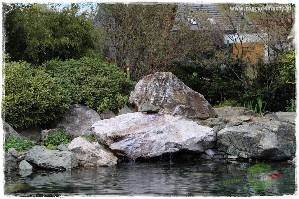 Zielony kamień w ogrodzie 62 Zielony kamień w ogrodzie 62