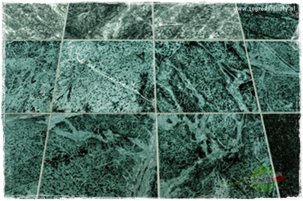 Zielony kamień w ogrodzie 8 Zielony kamień w ogrodzie 8