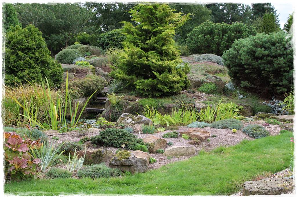 ogródek skalny 13 ogródek skalny 13