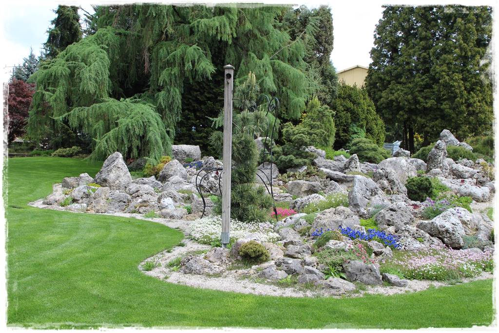 ogródek skalny 14 ogródek skalny 14