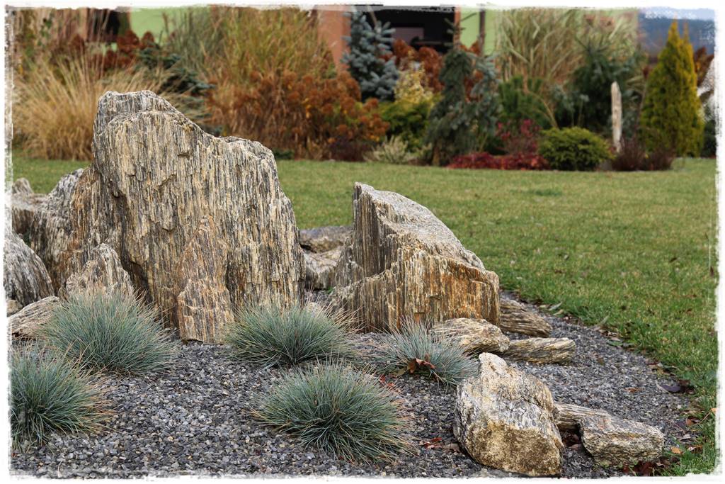 ogródek skalny 21 ogródek skalny 21