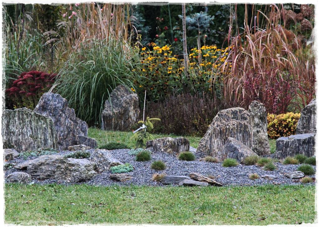 ogródek skalny 23 ogródek skalny 23