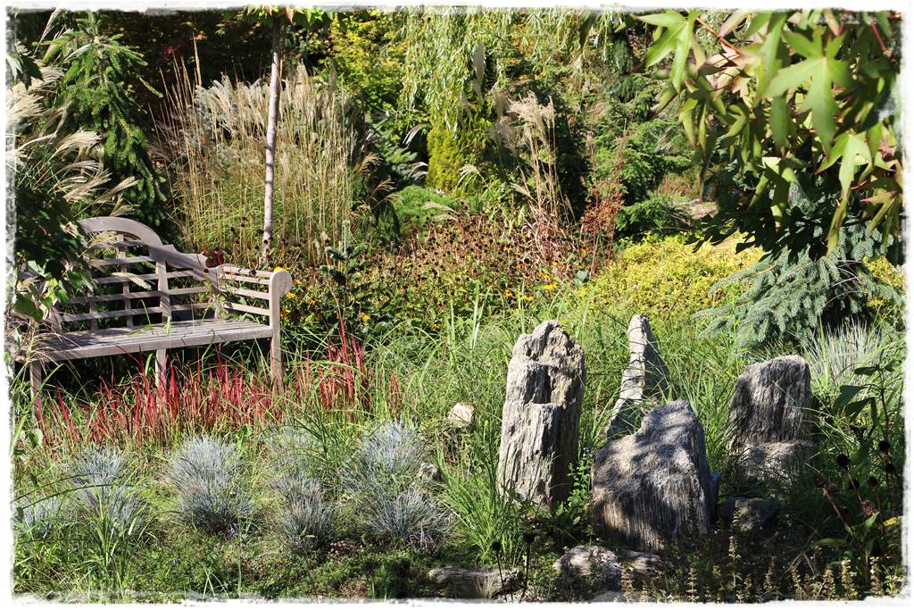 ogródek skalny 24 ogródek skalny 24