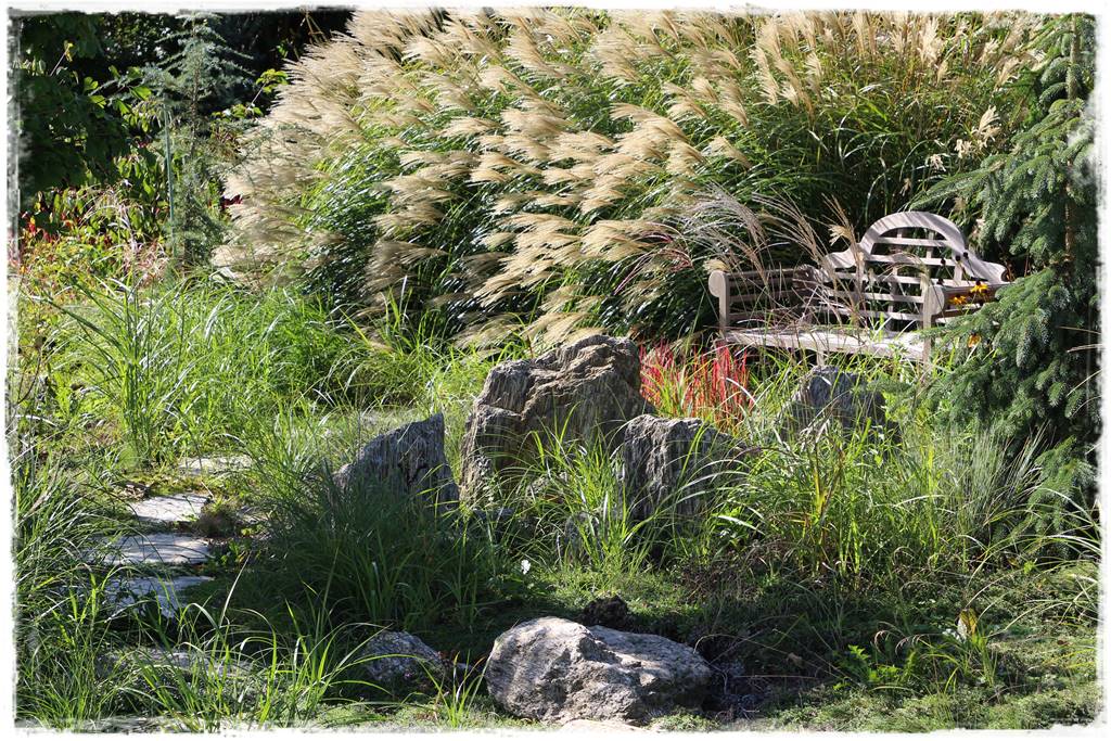 ogródek skalny 27 ogródek skalny 27