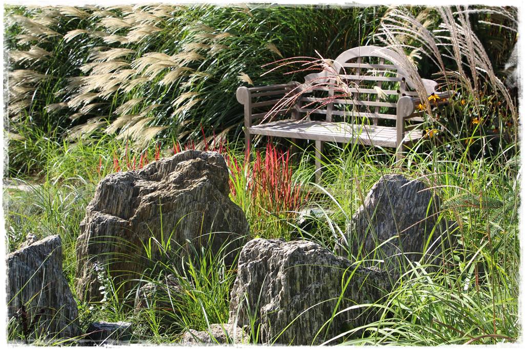 ogródek skalny 3 ogródek skalny 3