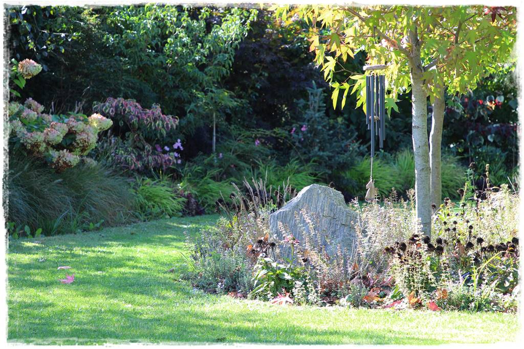 ogródek skalny 34 ogródek skalny 34