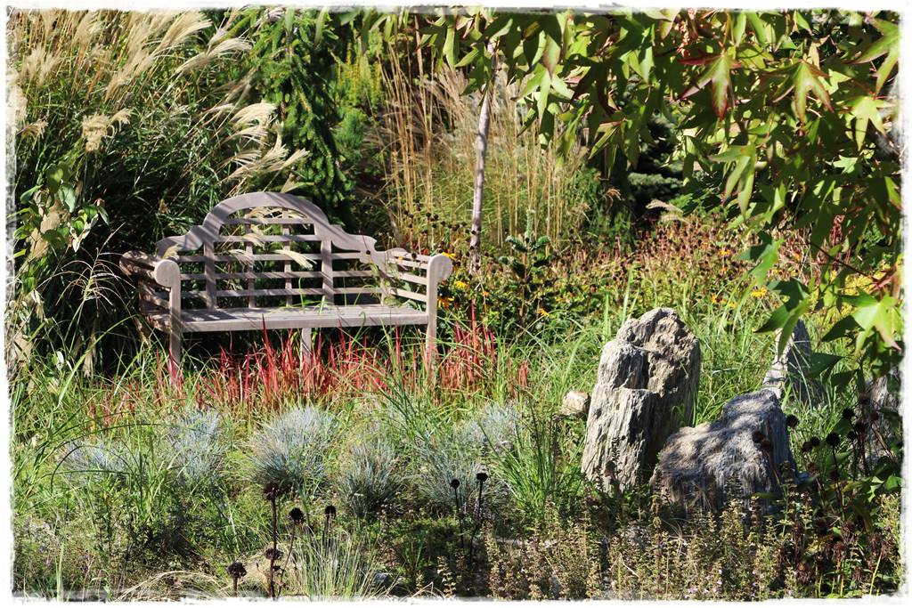 ogródek skalny 5 ogródek skalny 5