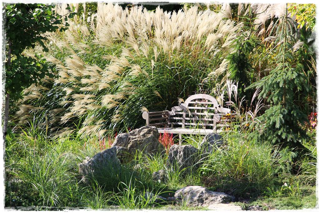 ogródek skalny 8 ogródek skalny 8