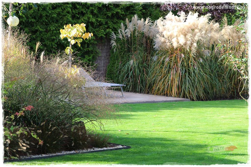 Czy robot koszący ma sens 12 Czy robot koszący ma sens 12