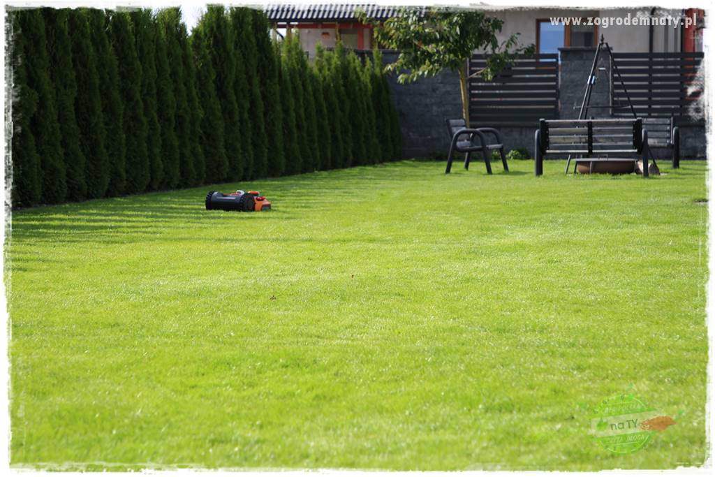 Czy robot koszący ma sens 2 Czy robot koszący ma sens 2