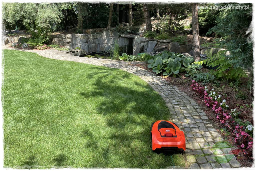 Czy robot koszący ma sens 22 Czy robot koszący ma sens 22