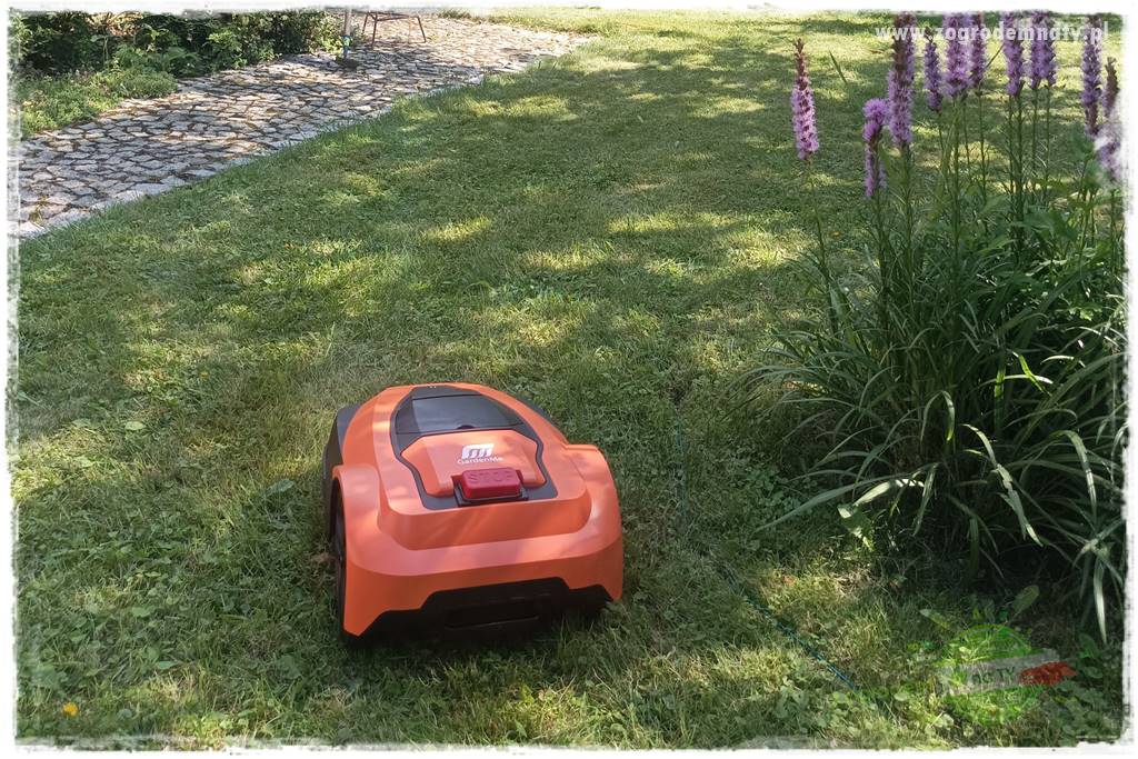 Czy robot koszący ma sens 31 Czy robot koszący ma sens 31