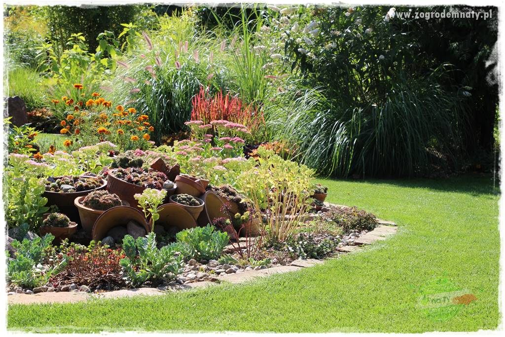 Czy robot koszący ma sens 34 Czy robot koszący ma sens 34