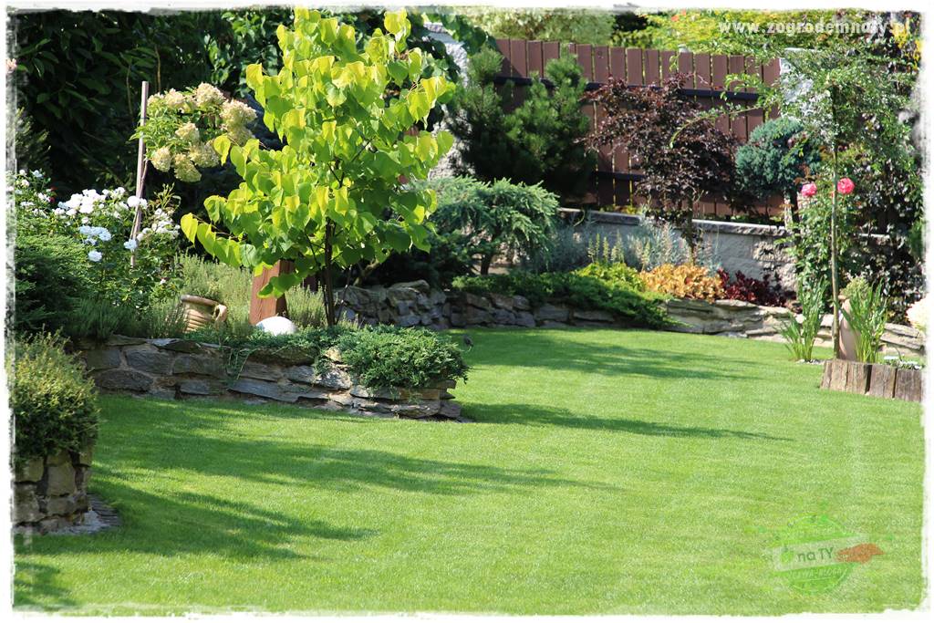 Czy robot koszący ma sens 35 Czy robot koszący ma sens 35