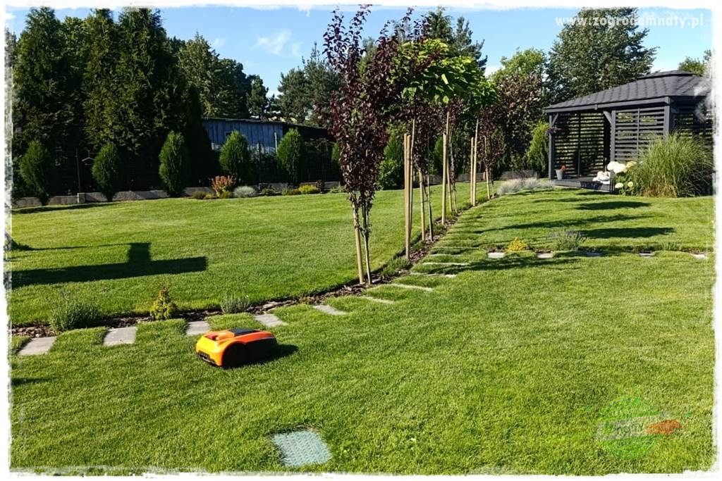 Czy robot koszący ma sens 4 Czy robot koszący ma sens 4