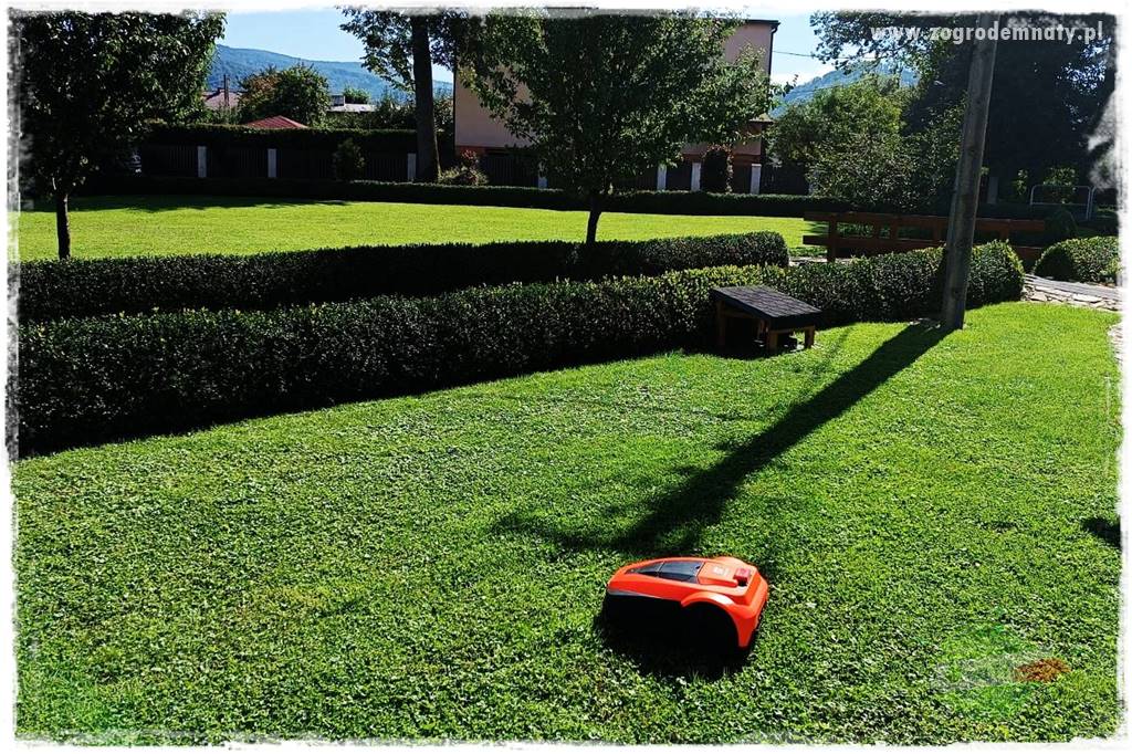 Czy robot koszący ma sens 41 Czy robot koszący ma sens 41