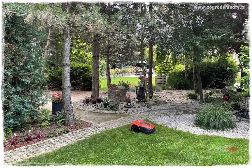 Czy robot koszący ma sens 44 Czy robot koszący ma sens 44