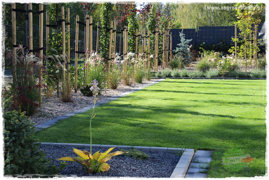 Czy robot koszący ma sens 48 Czy robot koszący ma sens 48