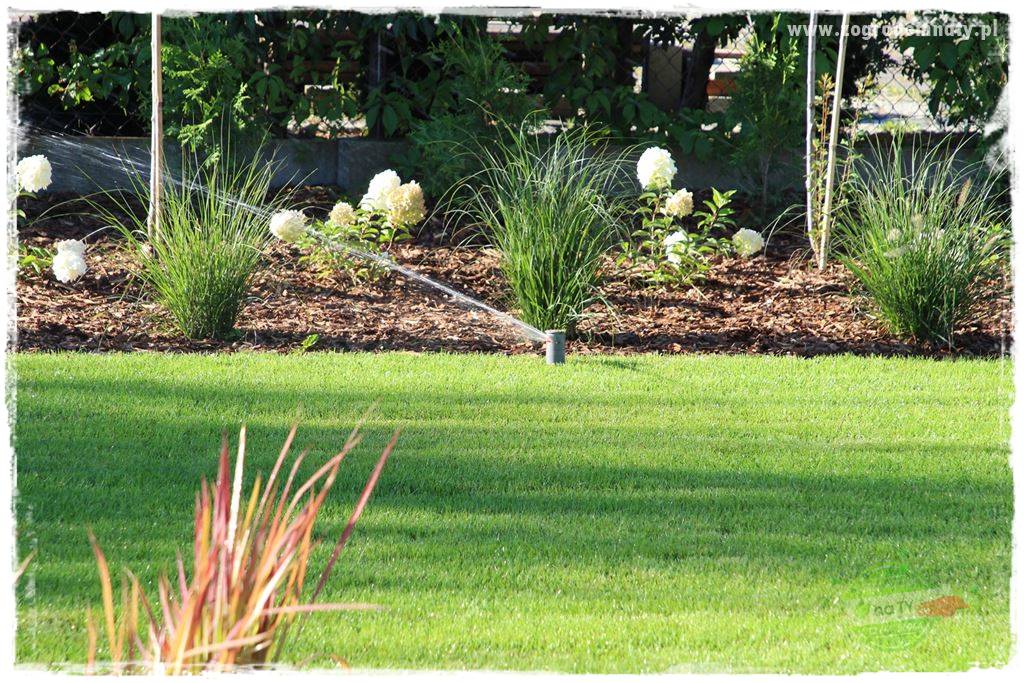 Czy robot koszący ma sens 5 Czy robot koszący ma sens 5