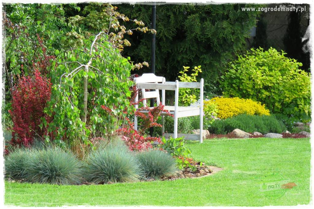 Czy robot koszący ma sens 50 Czy robot koszący ma sens 50