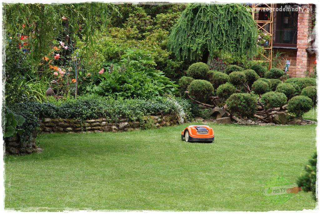 Czy robot koszący ma sens 51 Czy robot koszący ma sens 51