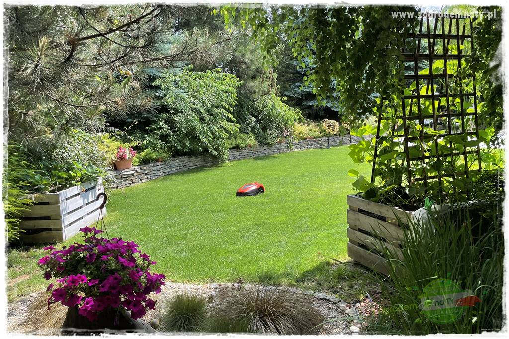 Czy robot koszący ma sens 7 Czy robot koszący ma sens 7