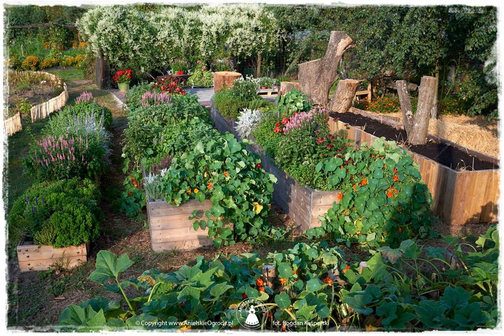 Jak stworzyć ogród ekologiczny 11 Jak stworzyć ogród ekologiczny 11